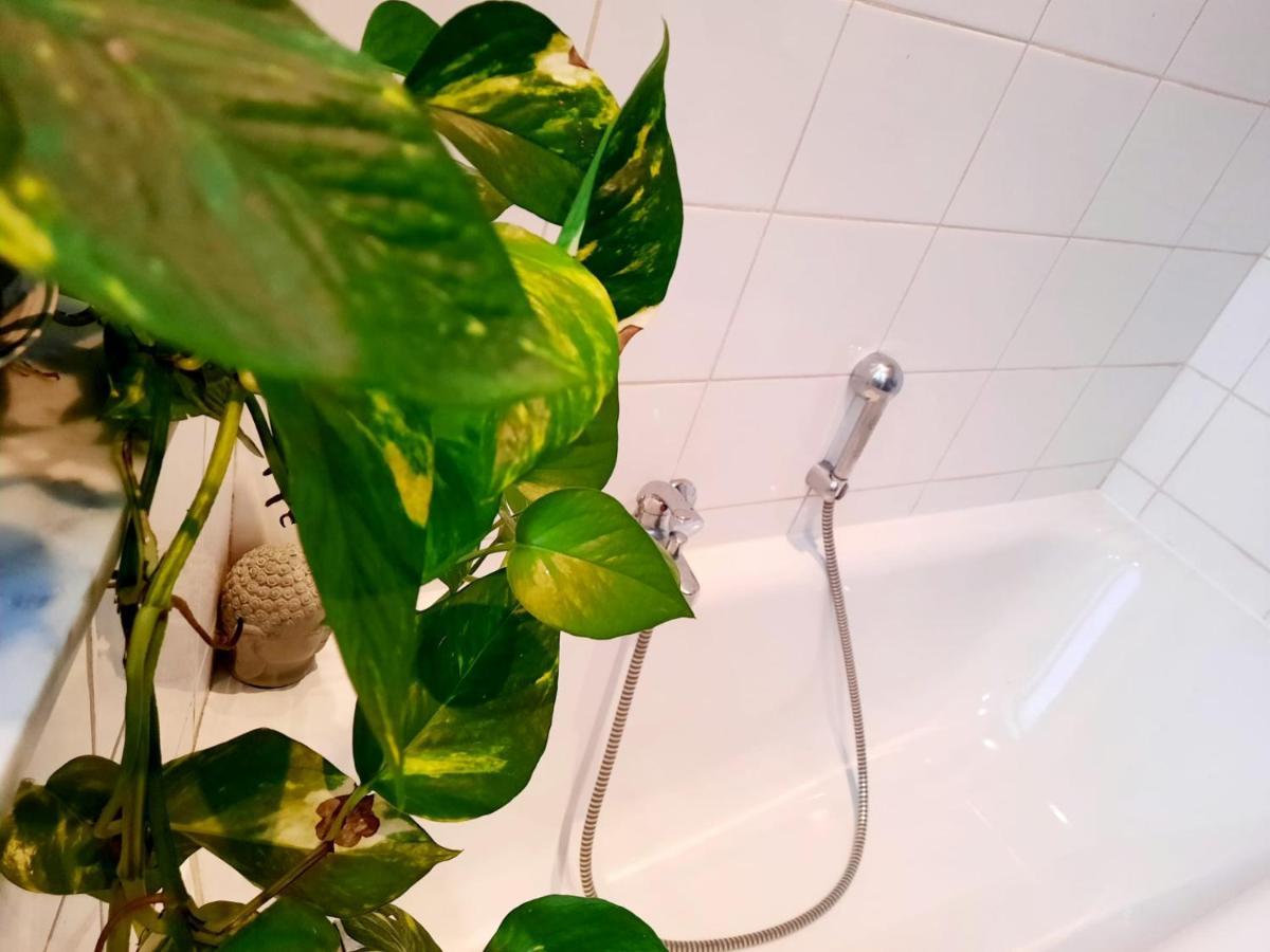 Appartement Ambiance Chalet Liège Zewnętrze zdjęcie